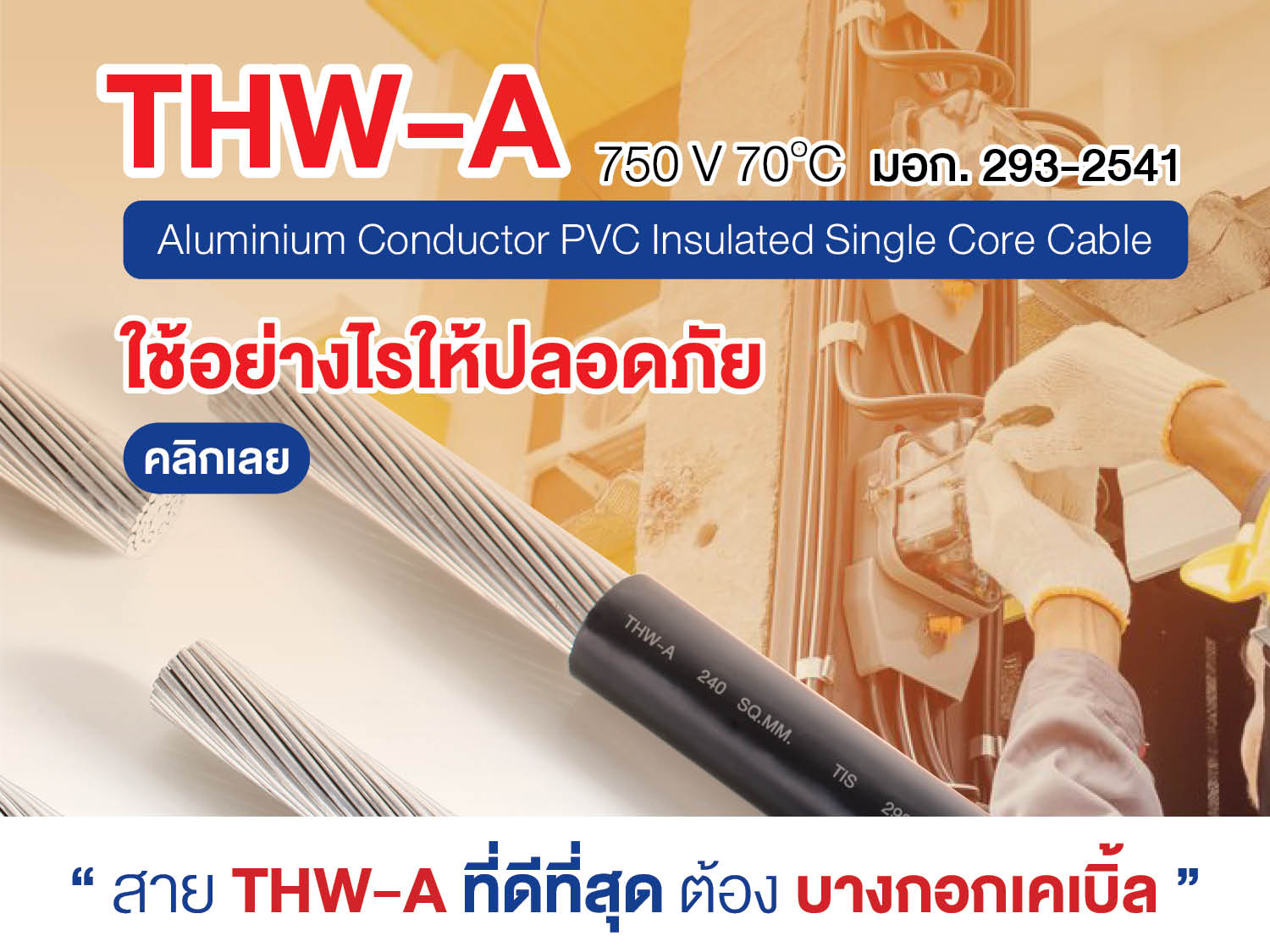 THW-A 